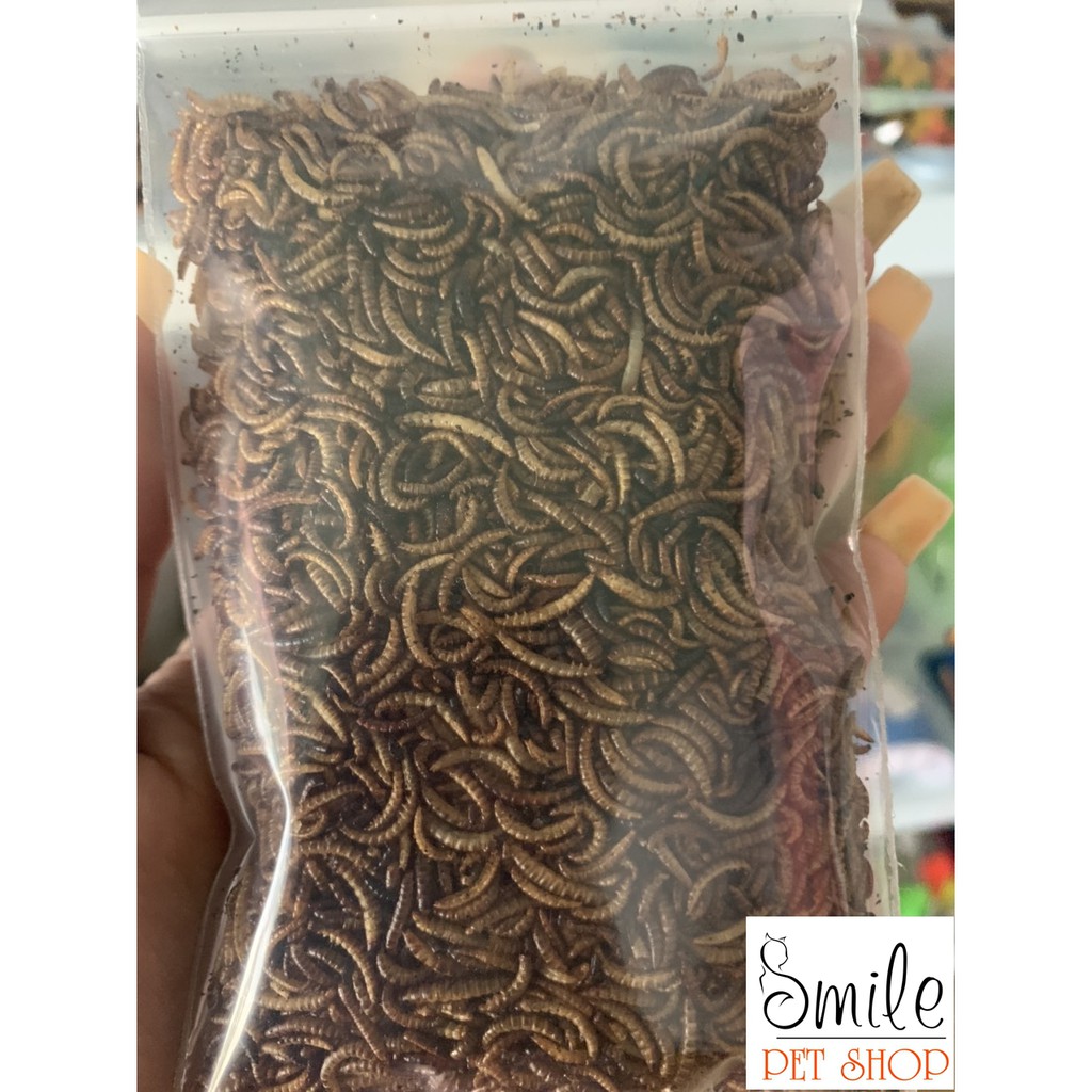 Thức ăn hamster - Sâu rang bơ siêu thơm ngon cho hamster - Smile pet shop