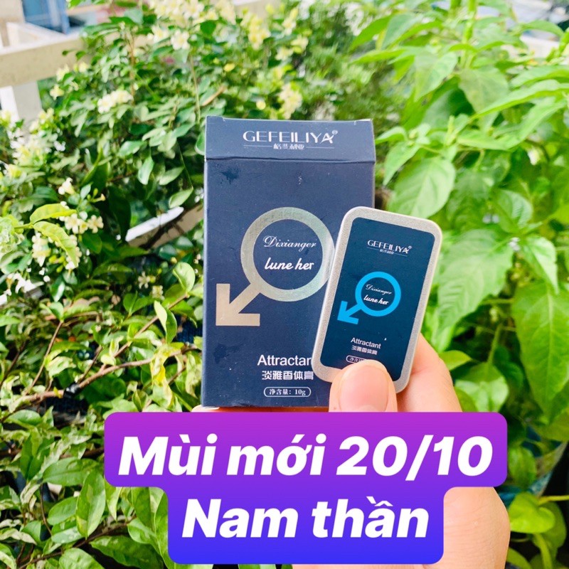 Nước Hoa Khô SHIMANG, DAISY DEAR💝FREESHIP💝Sáp Thơm Mini Bỏ Túi Lưu Hương 4 - 6 Tiếng | BigBuy360 - bigbuy360.vn