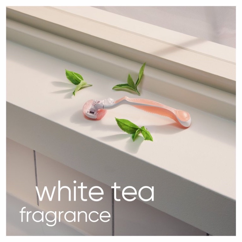 DAO CẠO NỮ VENUS GILLETTE HƯƠNG WHITE TEA