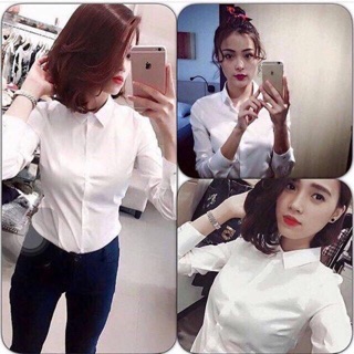 Áo sơmi shojo xuất xịn!