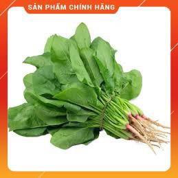 HẠT GIỐNG CẢI BÓ XÔI CHỊU NHIỆT GÓI 20 GRAM
