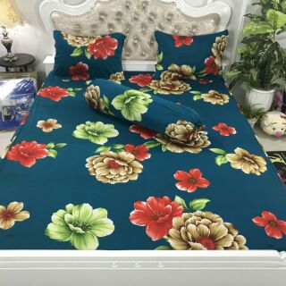 Set bộ grap thun thái phối 1,8m mền 2,2m