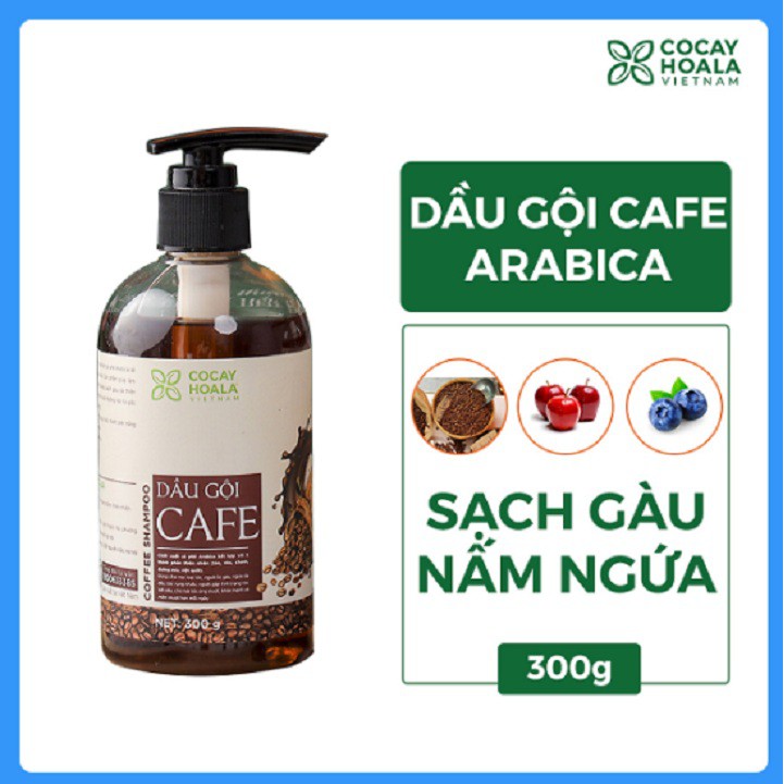 DẦU GỘI 2IN1 CÀ PHÊ ARABICA - COCAYHOALA - ORGANIC