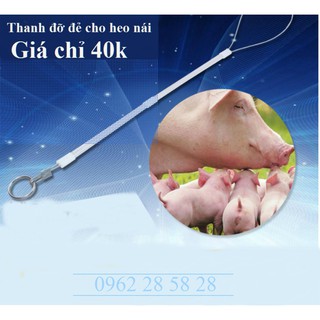 THANH ĐỠ ĐẺ CHO HEO NÁI