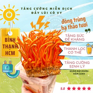 Đông trùng hạ thảo tươi MMG Hộp 150Gr