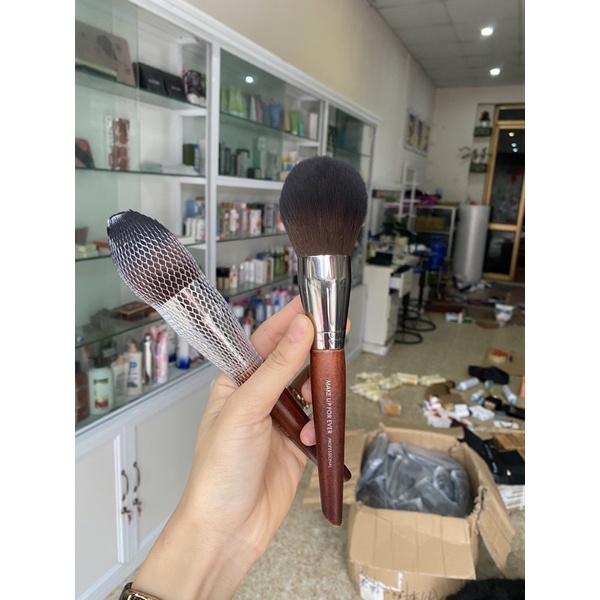 Cọ To Phủ Phấn