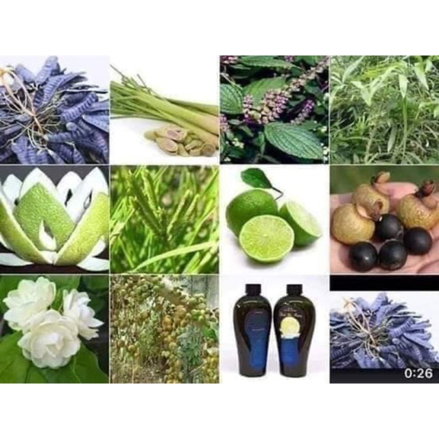 Dầu Gội Thiên Nhiên