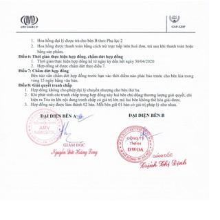 {Date 2029} Viên Cỏ Lúa Mì Hữu Cơ Pines 250v