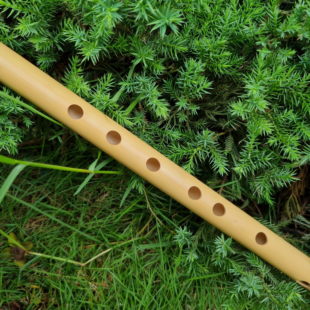 Sáo trúc dòng VS2 Tone La Trầm  Nứa Nam - Sáo Trúc Bùi Gia chính hãng