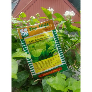 Hạt giống cải canh mơ Hà Nội Tre Việt Seed gói 50gram