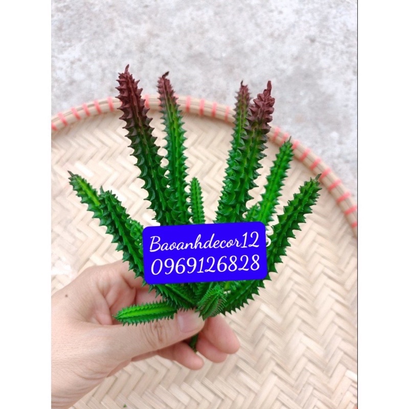 cây sương rồng giả, trang trí decor siêu xinh_ đủ màu
