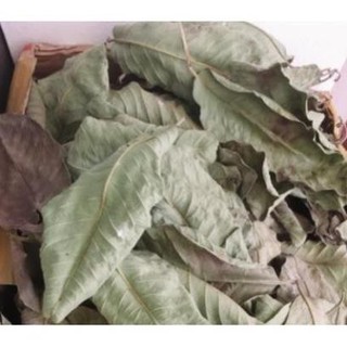 500gr Trà lá ổi khô ( lá ổi khô) thơm ngon( lá ổi nhà trồng sạch an toàn)