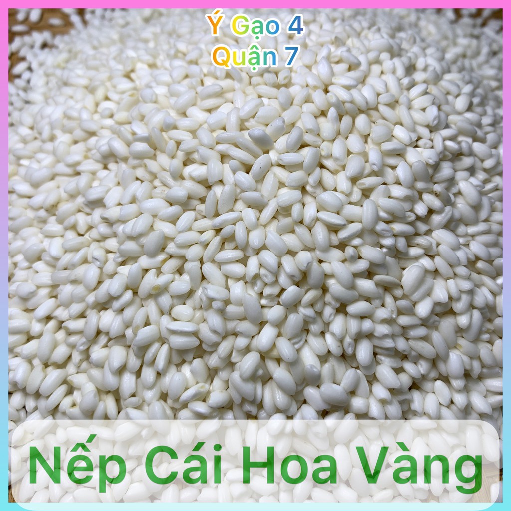 Gạo Nếp Cái Hoa Vàng (Nếp Bắc) Hạt to tròn đều - Túi 1kg
