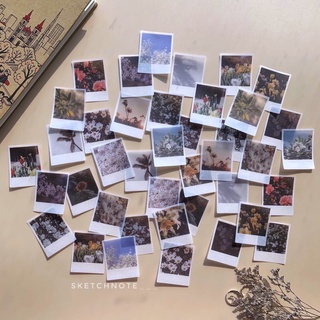 Sticker phong cảnh 40 chiếc ST099
