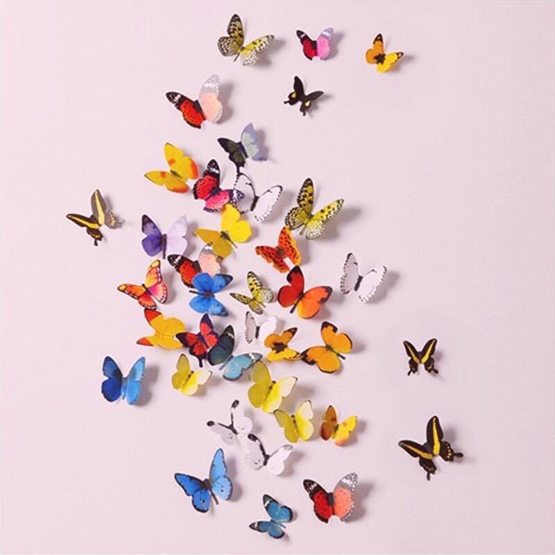 [FREE SHIP] Set bướm 3D 19 con có xốp dán 2 mặt siêu đáng yêu