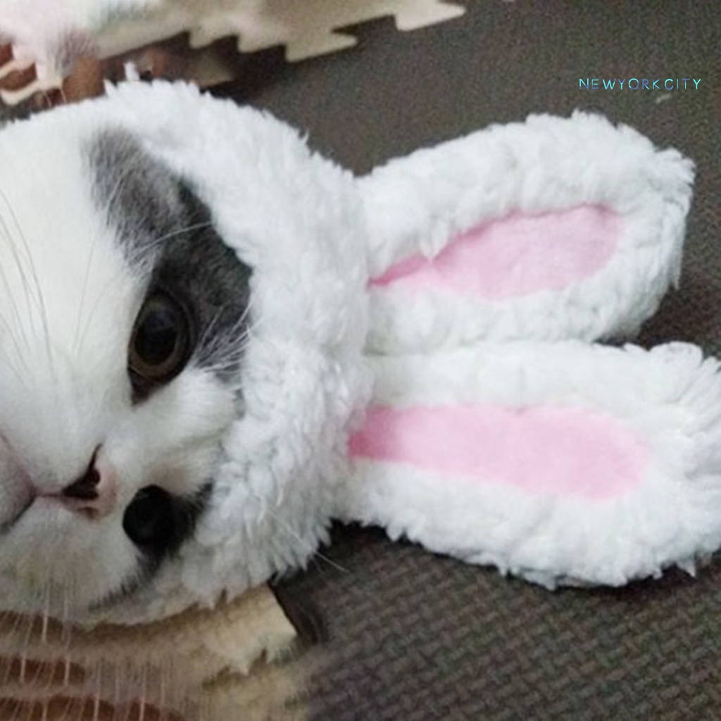 Nón Đội Đầu Co Giãn Màu Trơn Dành Cho Thú Cưng Sự Bảo Vệ