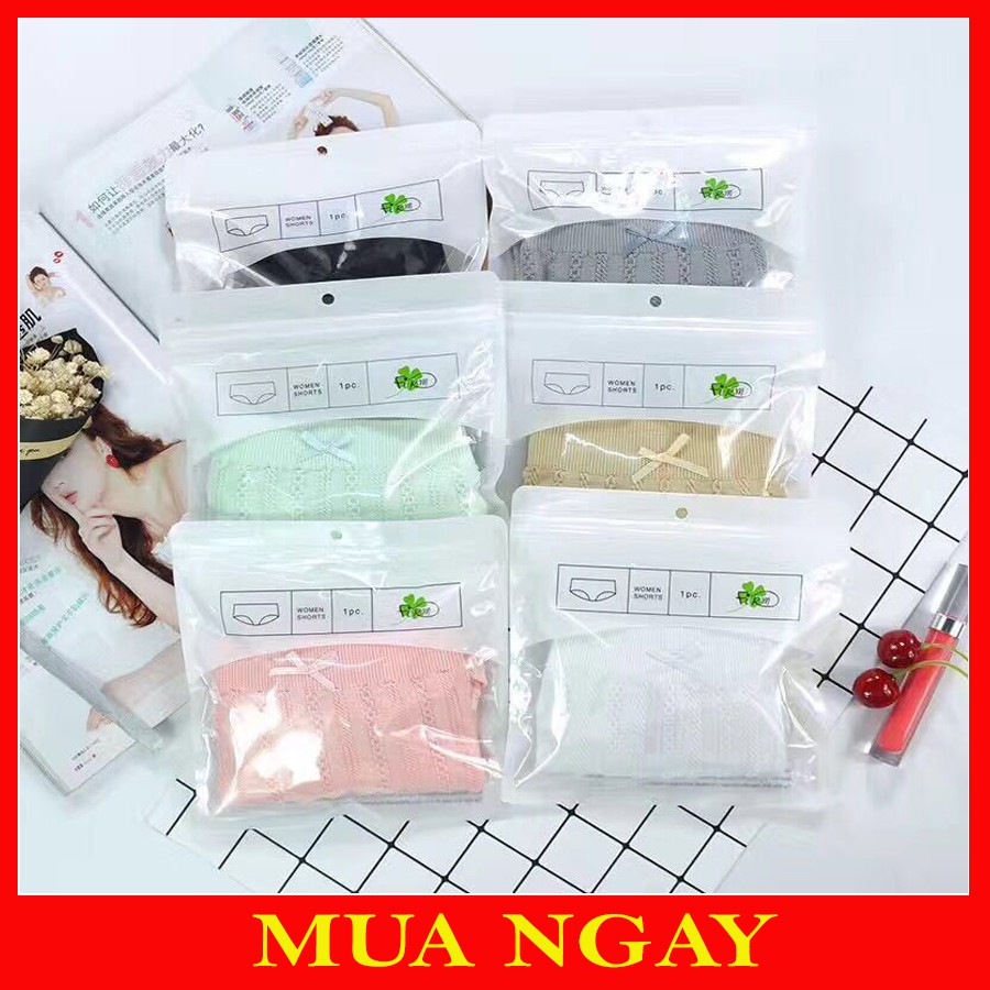 Quần Mặc Trong Váy Thời Trang Nữ Dệt Gân Cao Cấp DG | BigBuy360 - bigbuy360.vn