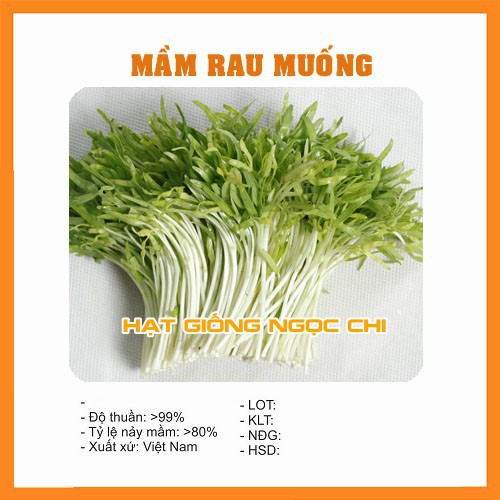 Hạt Giống Mầm Rau Muống - 50Gr