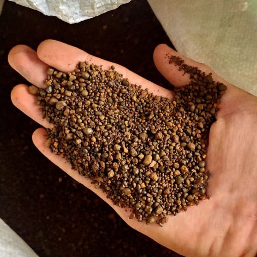 Sạn suối nâu, sỏi suối nâu trải nền thuỷ sinh, hồ cá
