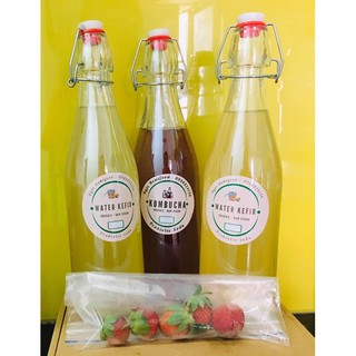 NẤM NƯỚC - WATER KEFIR