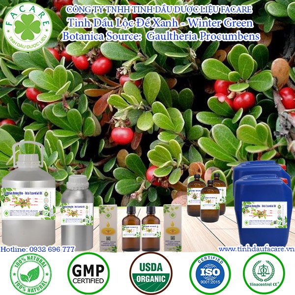 Tinh dầu Lộc Đề Xanh Wintergreen essential oil giúp thúc đẩy tâm trạng, khử mùi tự nhiên - 10ml/50m/100m