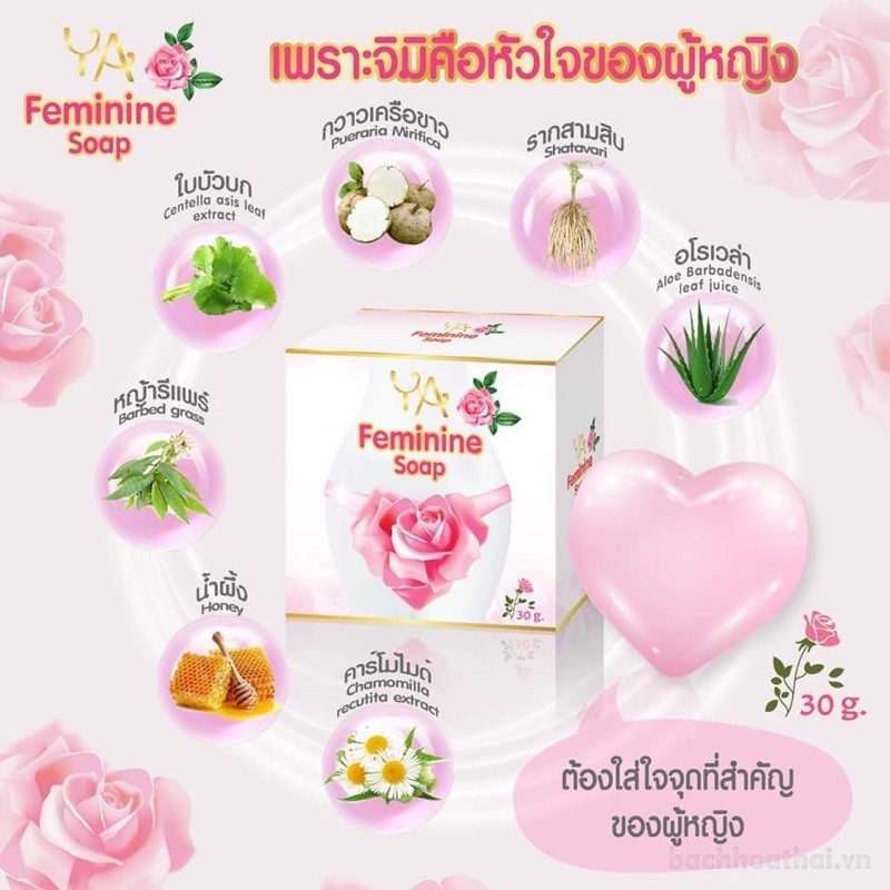 SOAP CÔ BÉ YA FEMININE THÁI LAN 🇹🇭