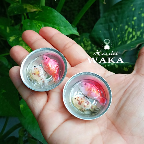 Mô Hình Thau Cá Hồng Và Cá Dìa 1/12 - Đất Sét Cao Cấp