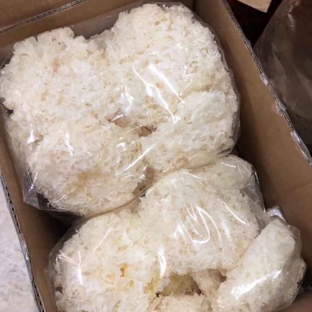 Nấm tuyết khô 100g nấu chè dưỡng nhan