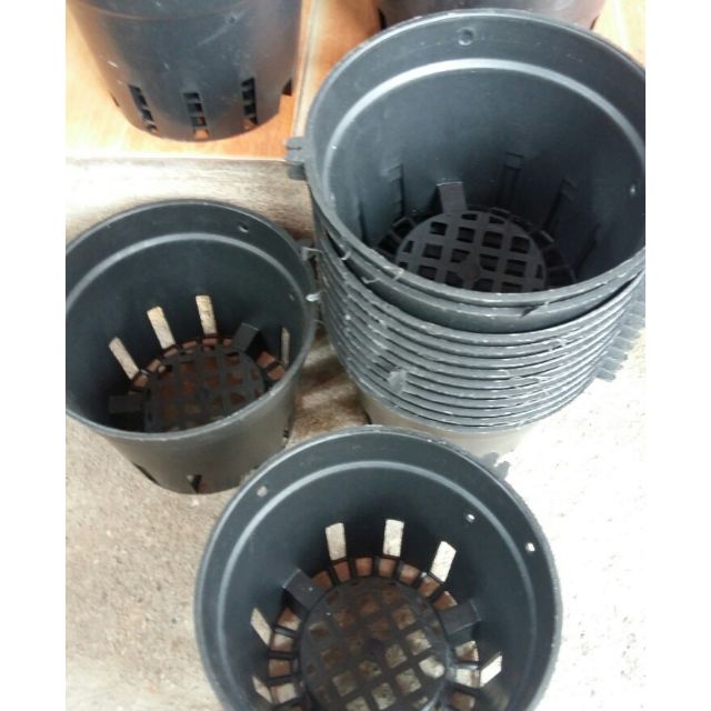 Chậu trồng lan phi 16cm siêu bền