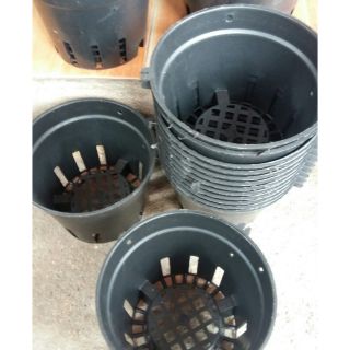 Chậu trồng lan phi 16cm siêu bền