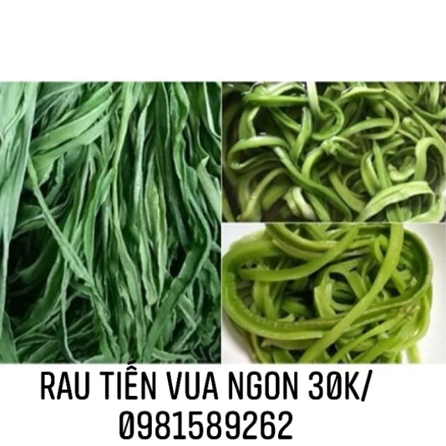 Rau tiến Vua ngon 500g hút chân không