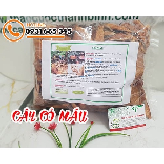 Cây Cỏ Máu 500g - Dược Liệu Sấy Khô Loại 1
