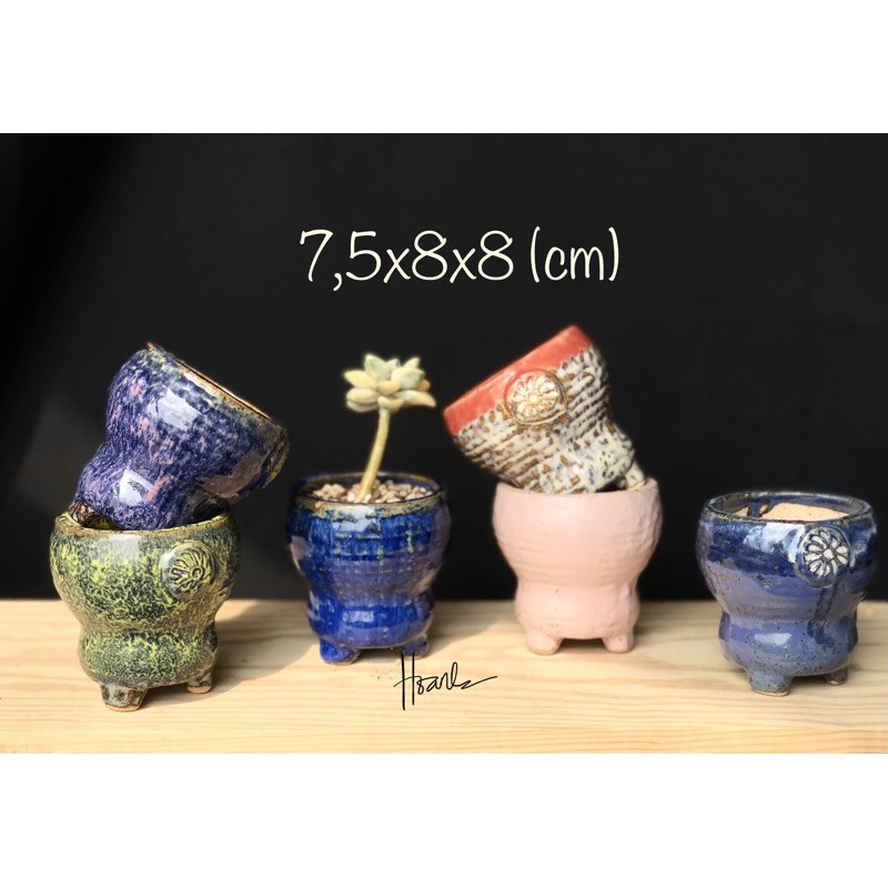 Chậu xuất Hàn - chậu trồng sen đá/xương rồng 824
