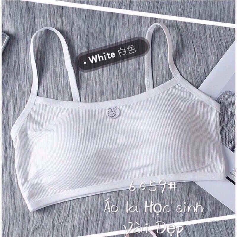 Áo bra học sinh, áo lá tem thỏ cotton tăm mềm đẹp 6059 | BigBuy360 - bigbuy360.vn