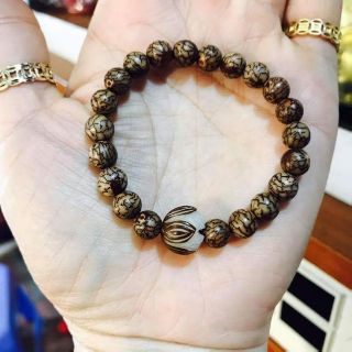 Bồ đề tiểu kim tiền mix bồ đề đại kim tiền khắc hình hoa sen!