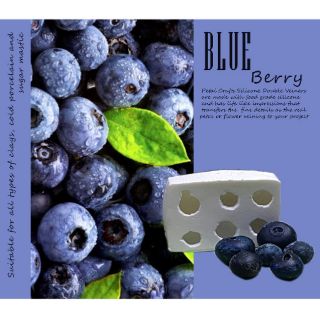 Black Currant - Khuôn vân nhựa dẻo hoa đất lấy vân 2 mặt