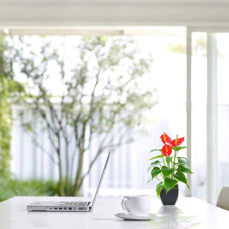 Hoa Lily Giả Trang Trí Nhà Ở