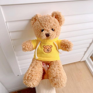 Gấu Bông Mặc Áo Hoodie