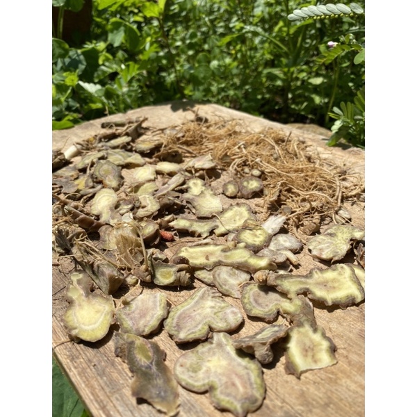 Bột Tam Thất Lâu Năm Hà Giang