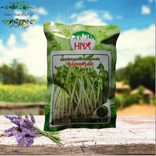 Combo 6 loại rau mầm