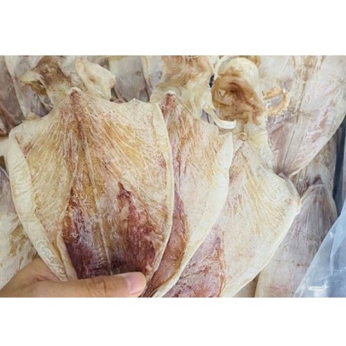 10 con mực câu ngon như hình