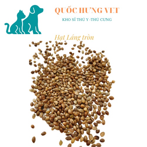 Hạt láng tròn cho hamster, chim, vẹt... - QUỐC HƯNG VET