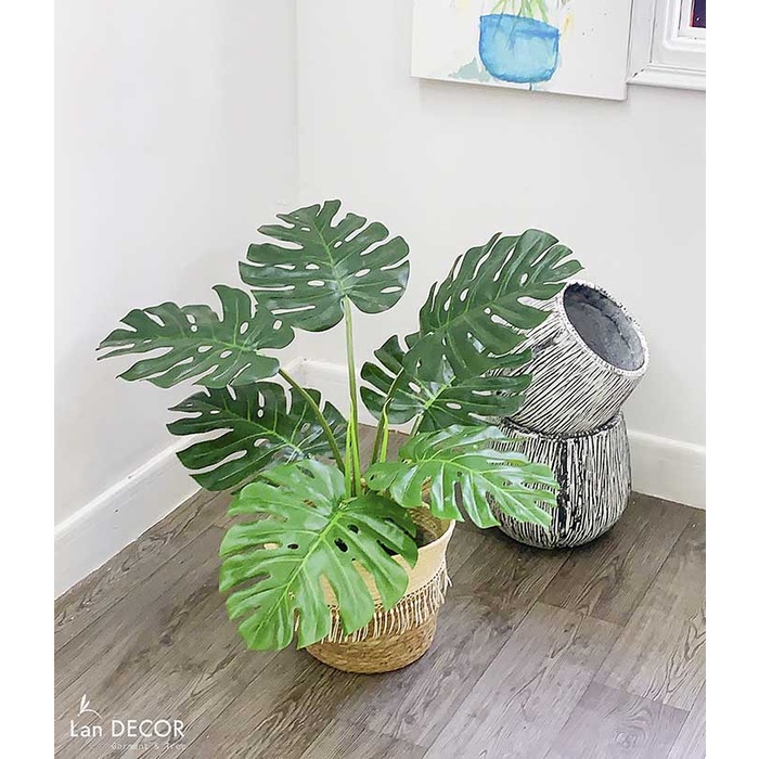 💥 Cây giả - Cây lá xẻ monstera, cây trầu bà Nam Mỹ để bàn, trang trí nhà đẹp LanDecor