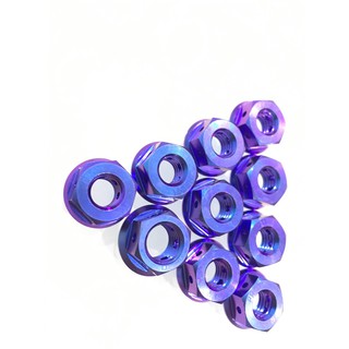 Tán 10ly titanium gr5 đầu proti