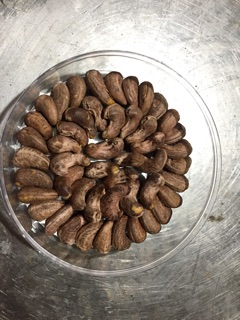 Hạt điều rang muối lụa Bình Phước loại 1: 500gram