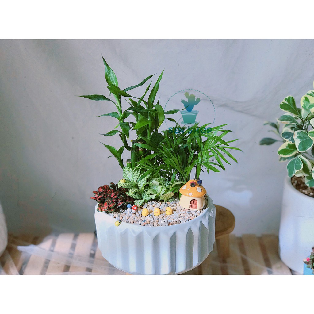 Sỏi trang trí chậu cây, bể cá .