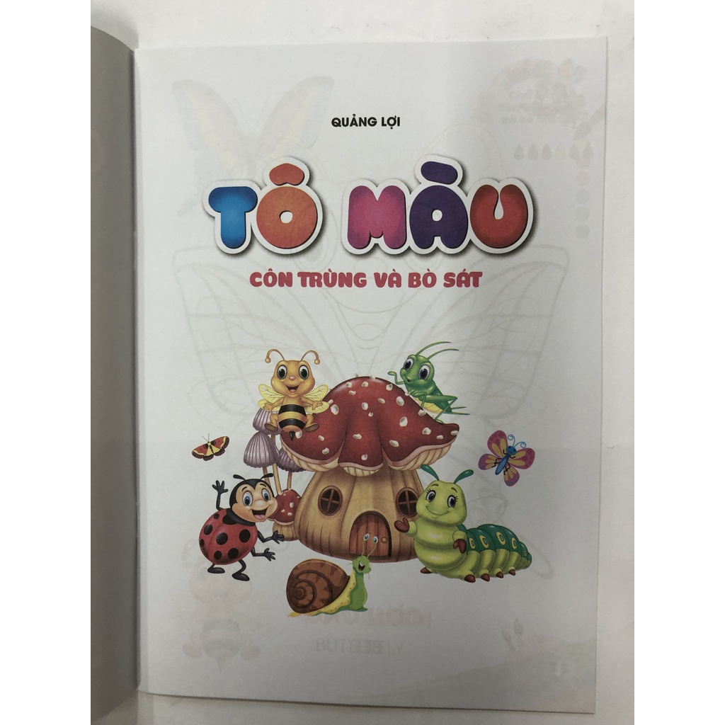 Sách - Tô màu Côn trùng và Bò sát - Song ngữ Anh Việt