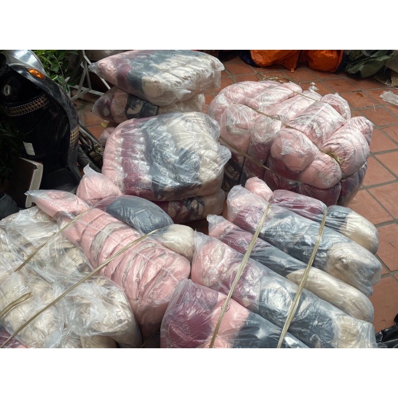 Combo 3 Áo Lót Nâng Ngực Hình Bàn Tay Mã 03 | BigBuy360 - bigbuy360.vn