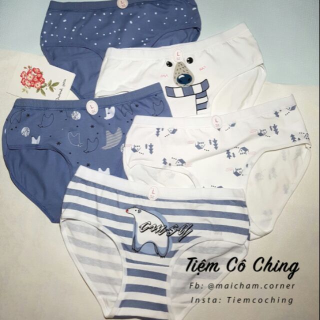 Quần chip cotton