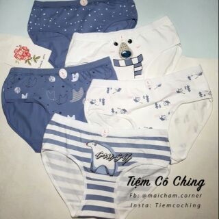 Quần chip cotton